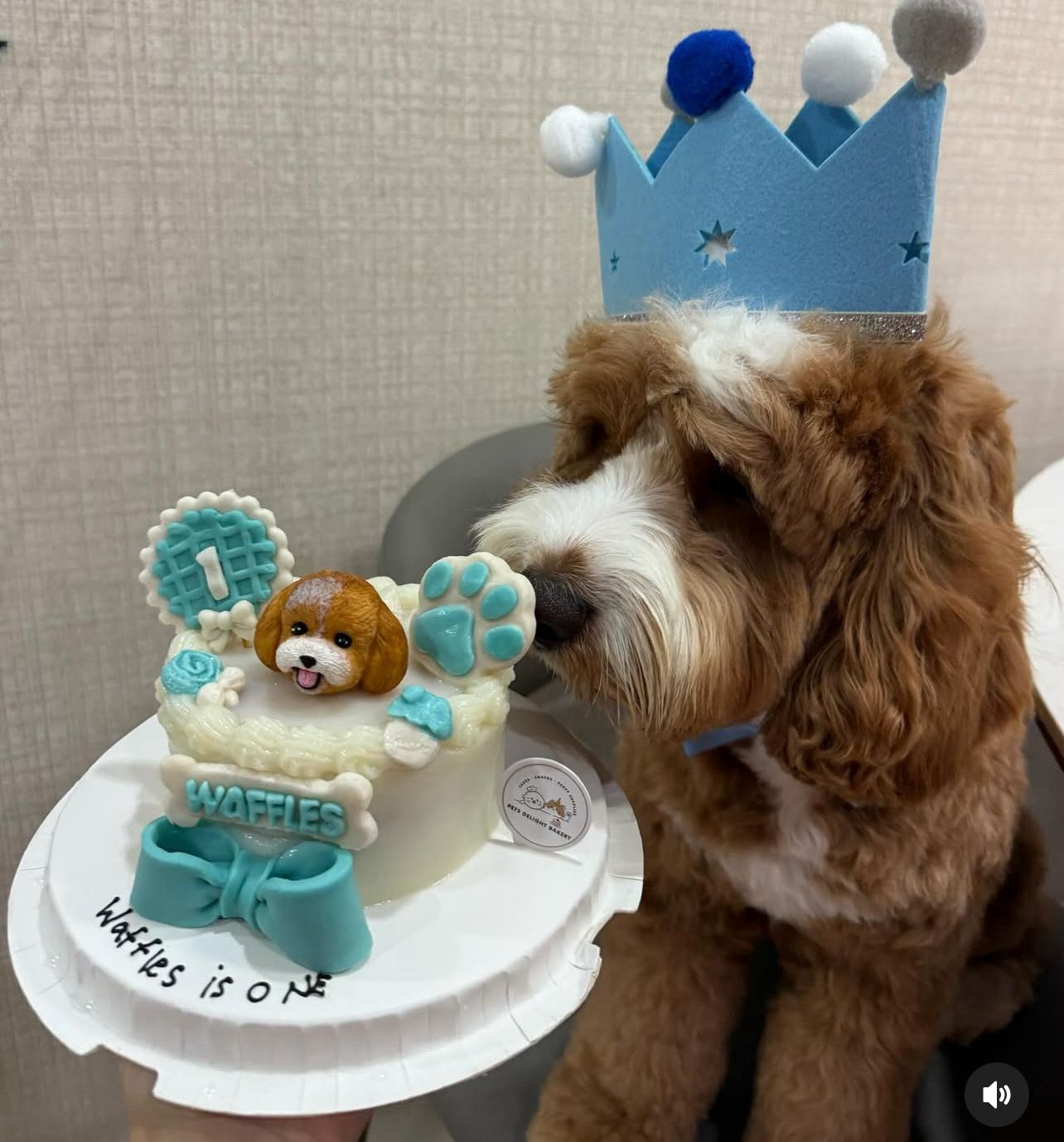 3D Customized Paws-up Cake