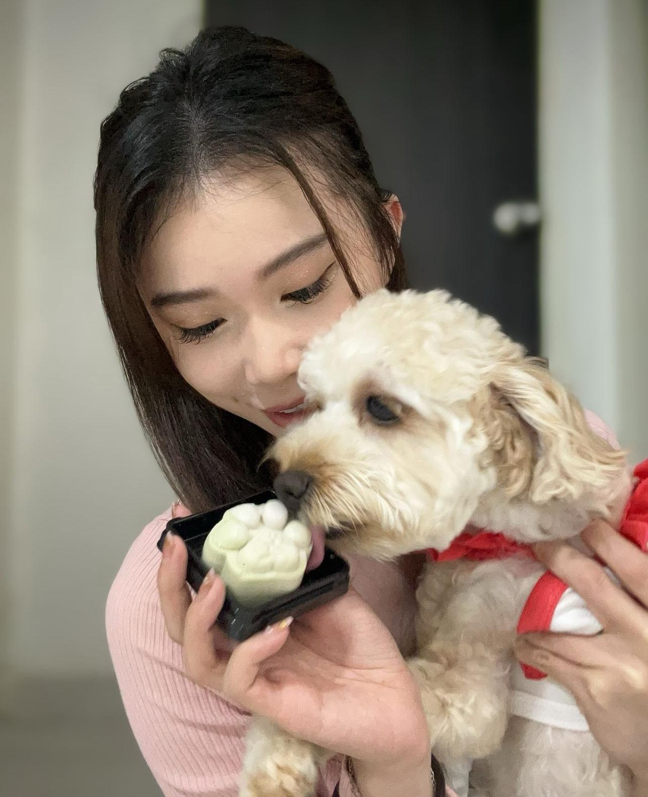 Pets Mooncake