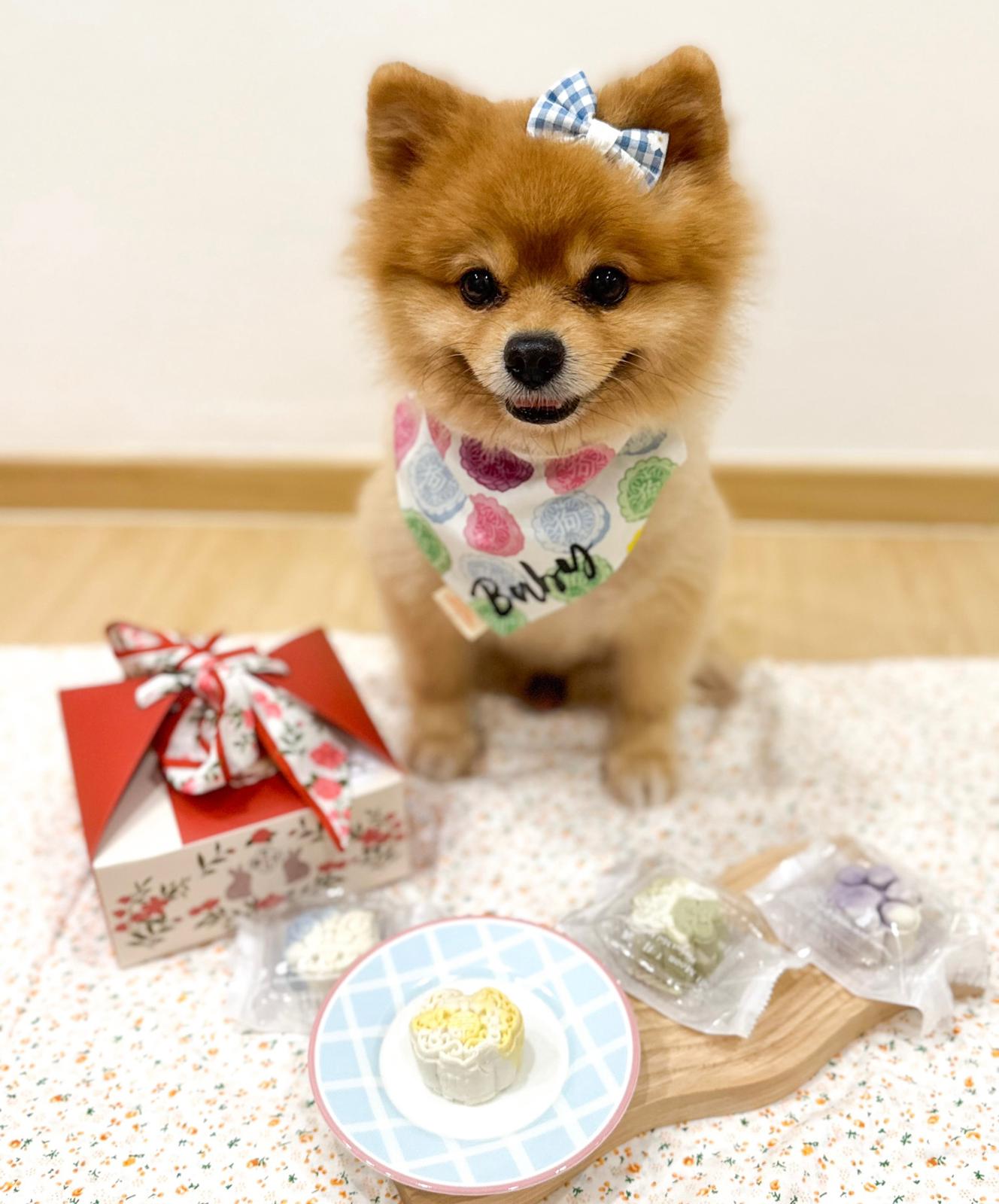 Snow Skin Pet Mooncake For Dogs & Cats