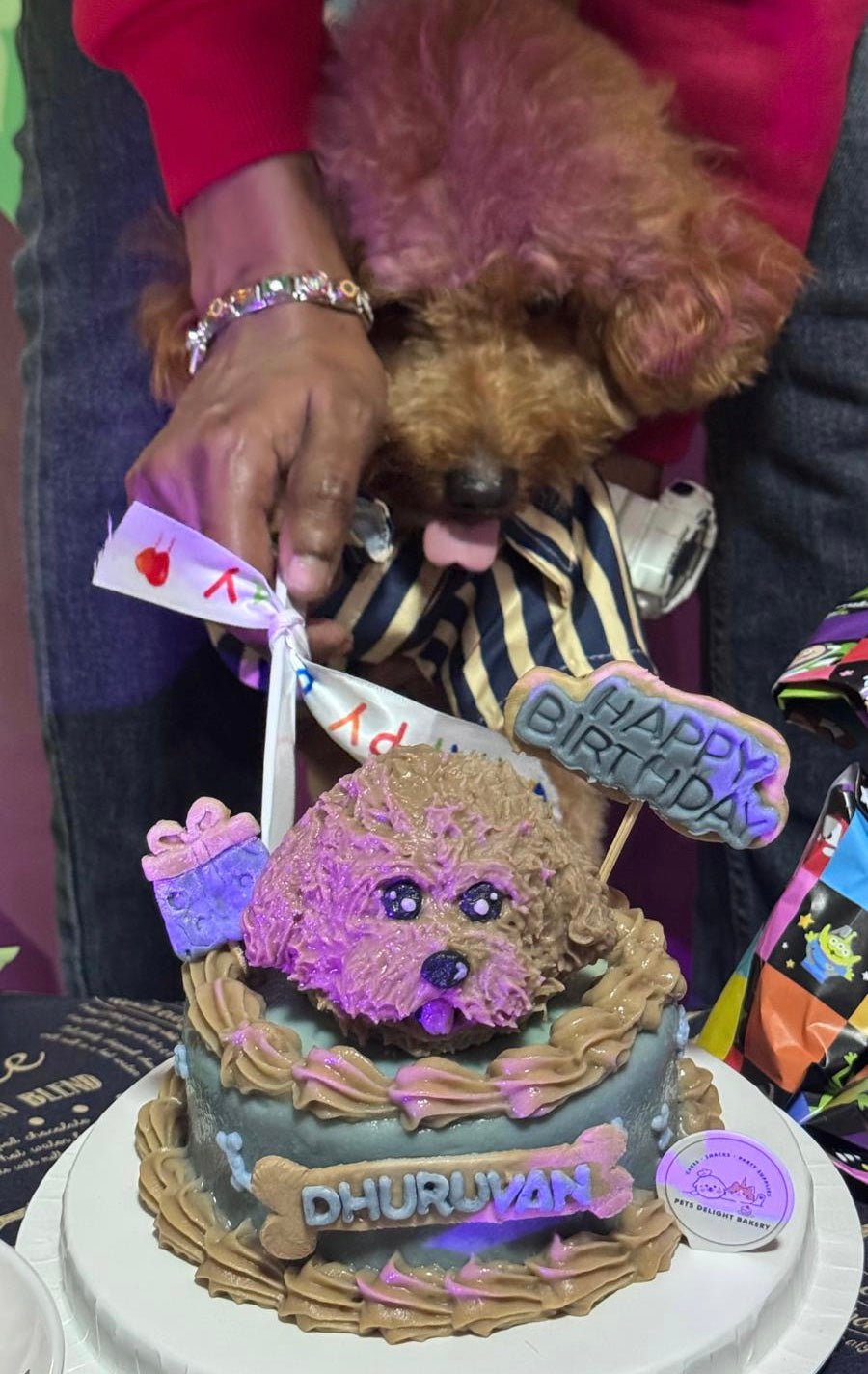 3D Customized Dog/Cat Big Head HBD Cake - Pets Delight Bakery Pte Ltd