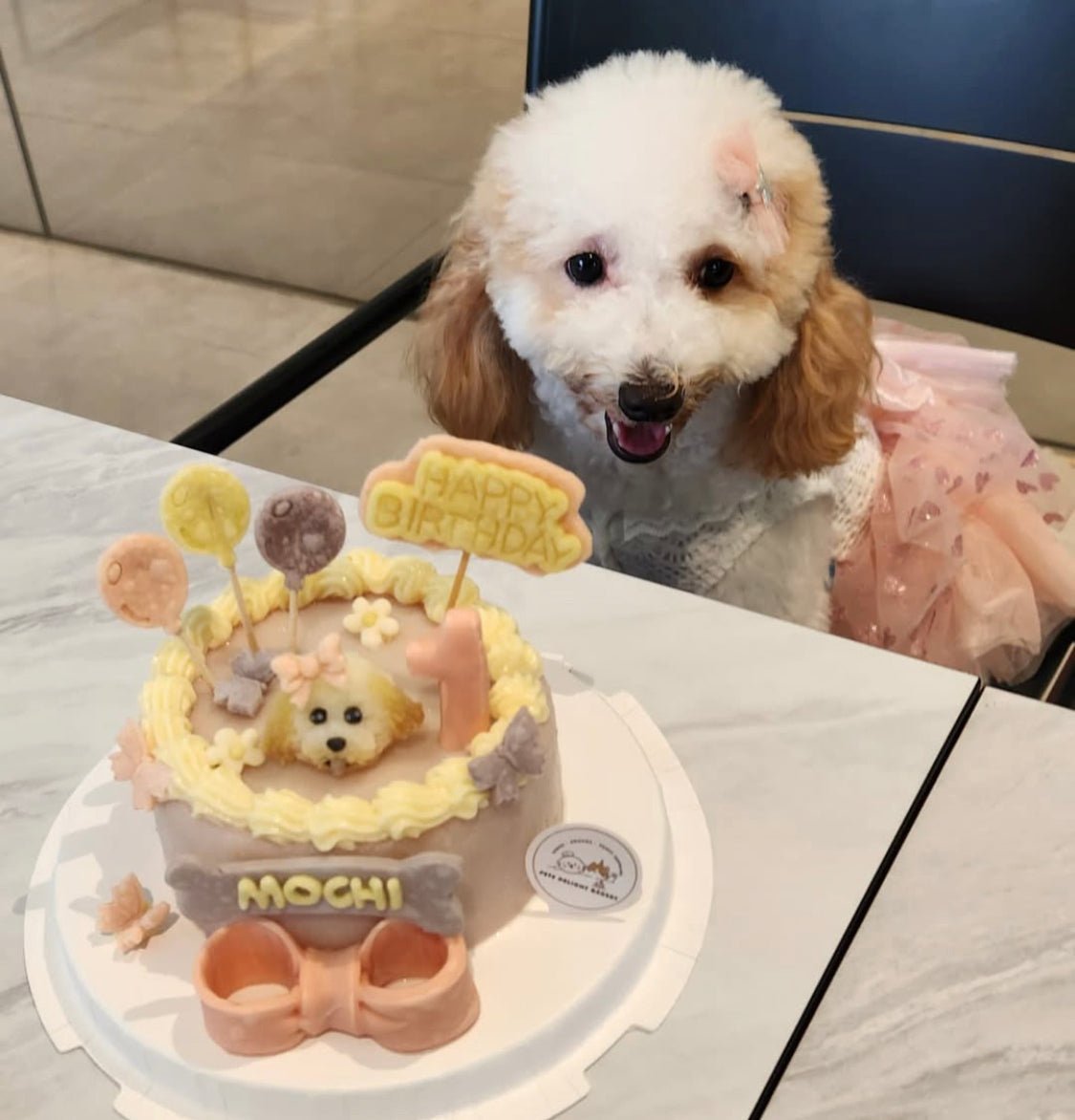 3D Customized Dog/Cat Pastel Butterflies Cake - Pets Delight Bakery Pte Ltd
