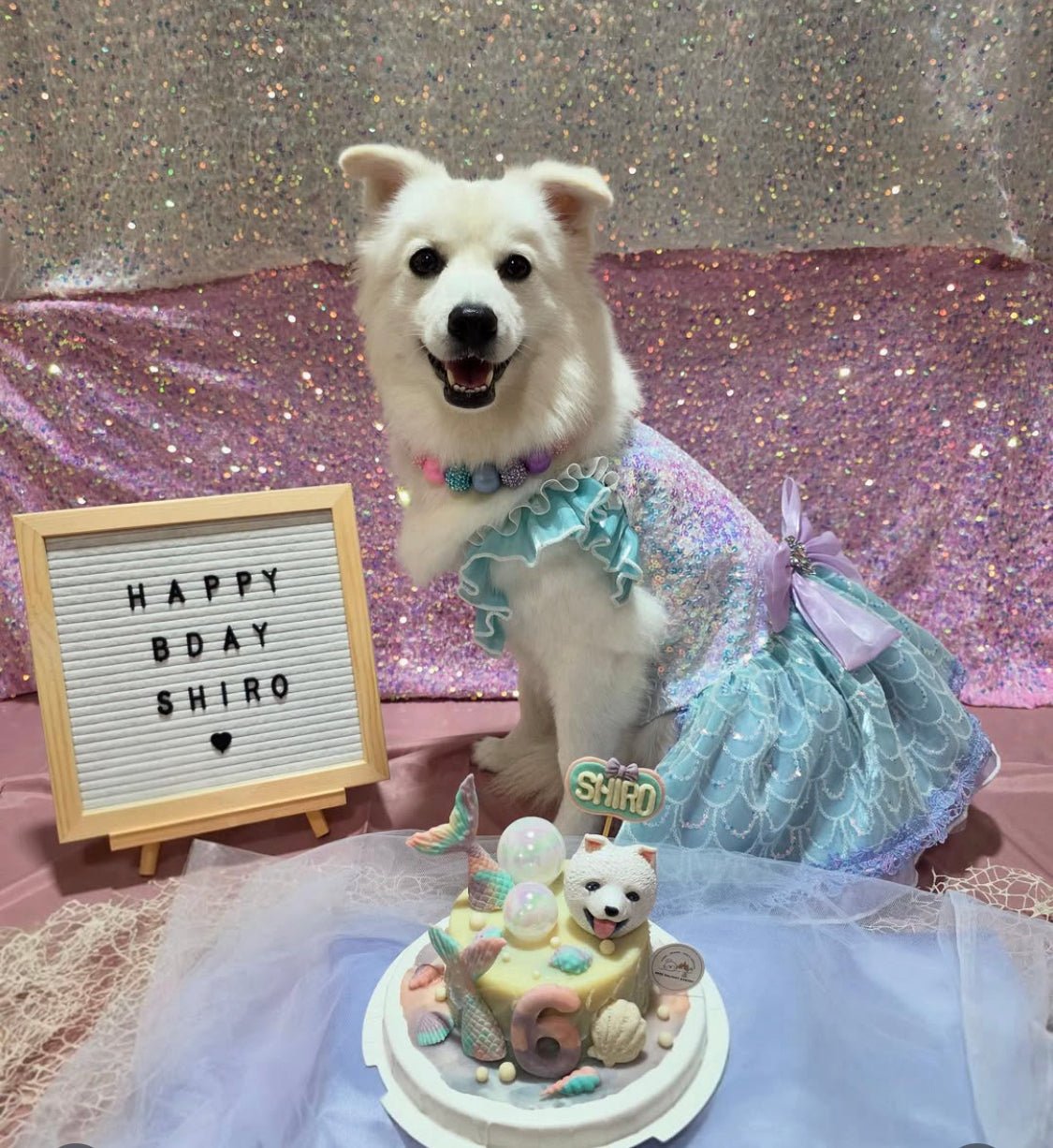3D Customized Mermaid Dog/Cat Cake - Pets Delight Bakery Pte Ltd