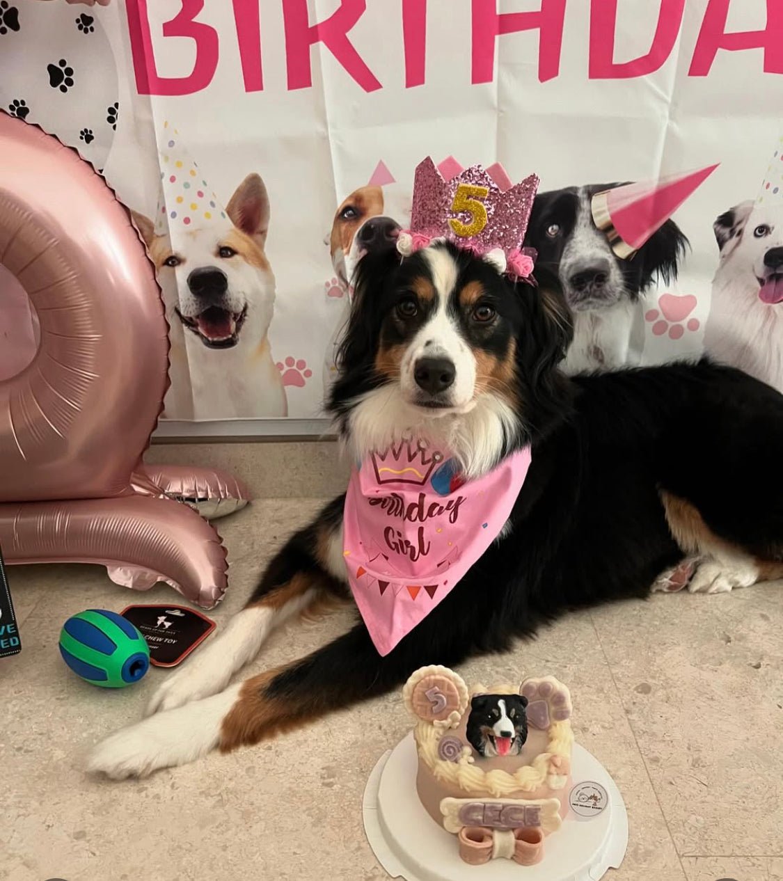 3D Customized Paws - up Cake - Pets Delight Bakery Pte Ltd