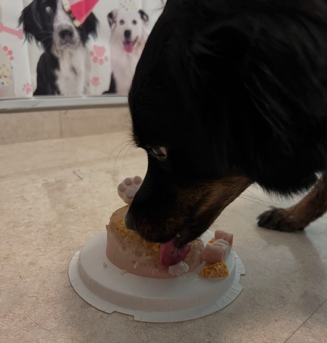 3D Customized Paws - up Cake - Pets Delight Bakery Pte Ltd