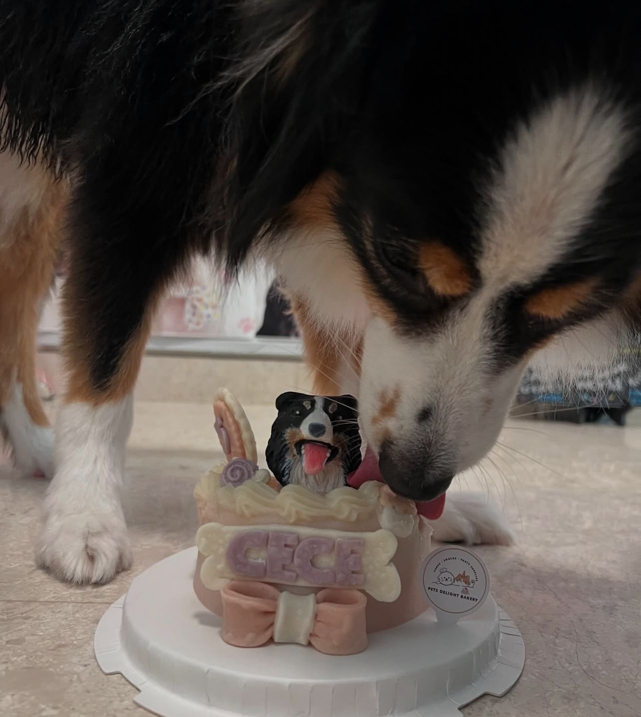3D Customized Paws - up Cake - Pets Delight Bakery Pte Ltd