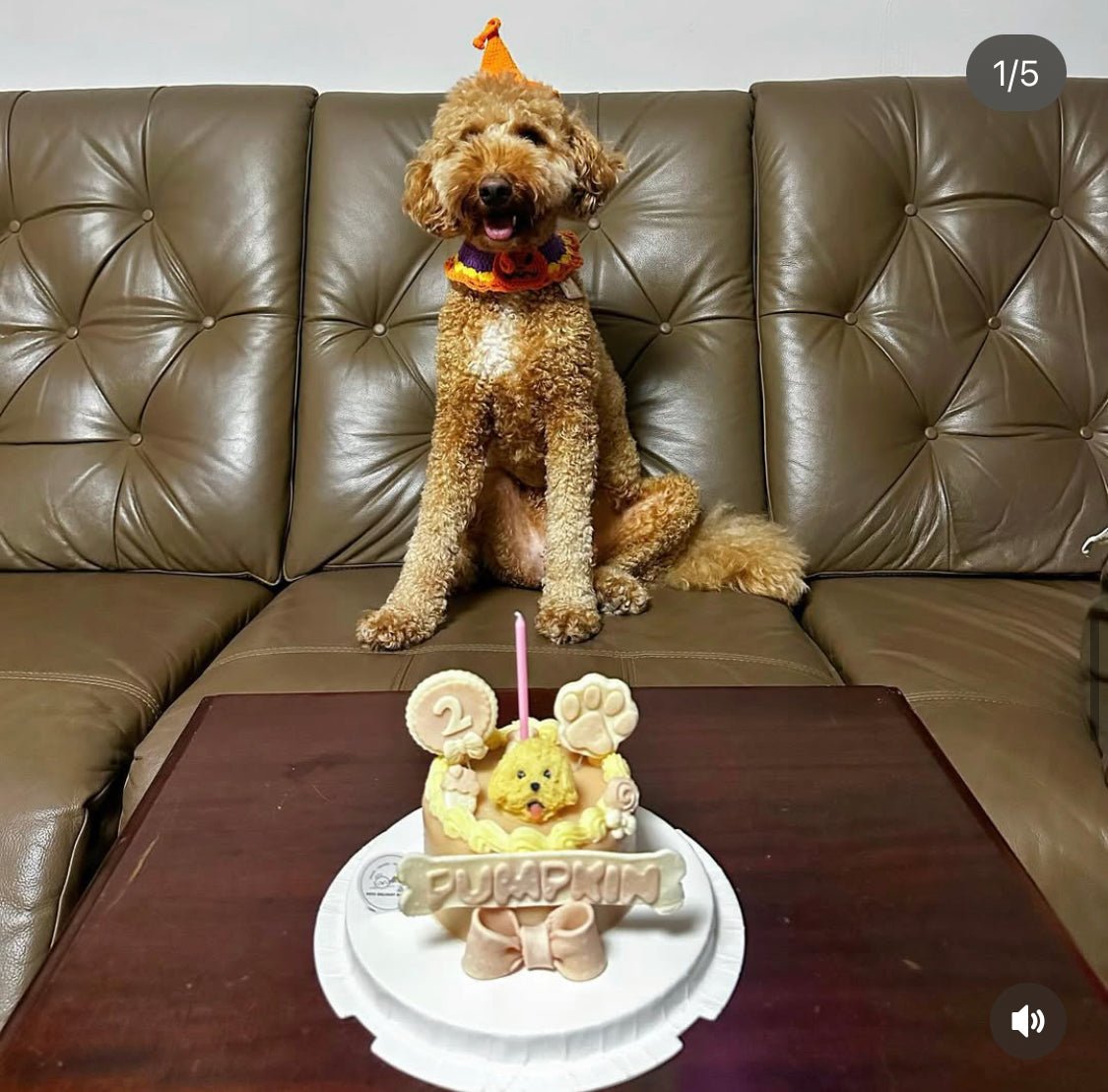3D Customized Paws - up Cake - Pets Delight Bakery Pte Ltd