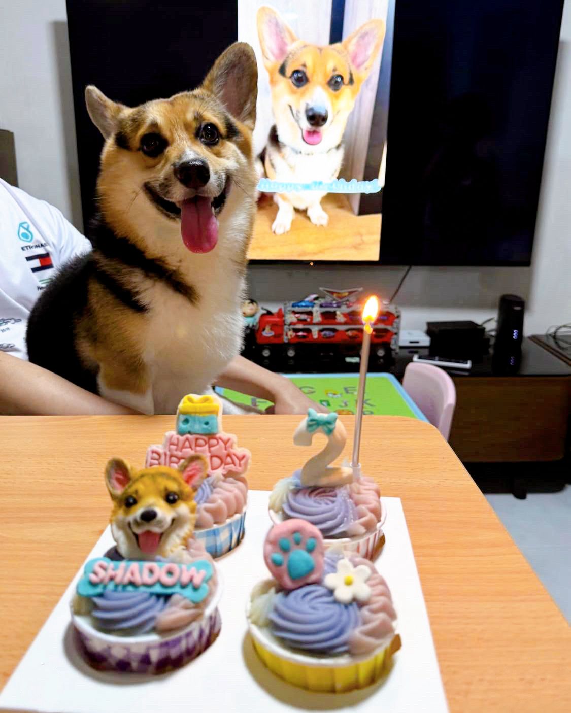 3D Dog/Cat Designed Pupcakes - Pets Delight Bakery Pte Ltd