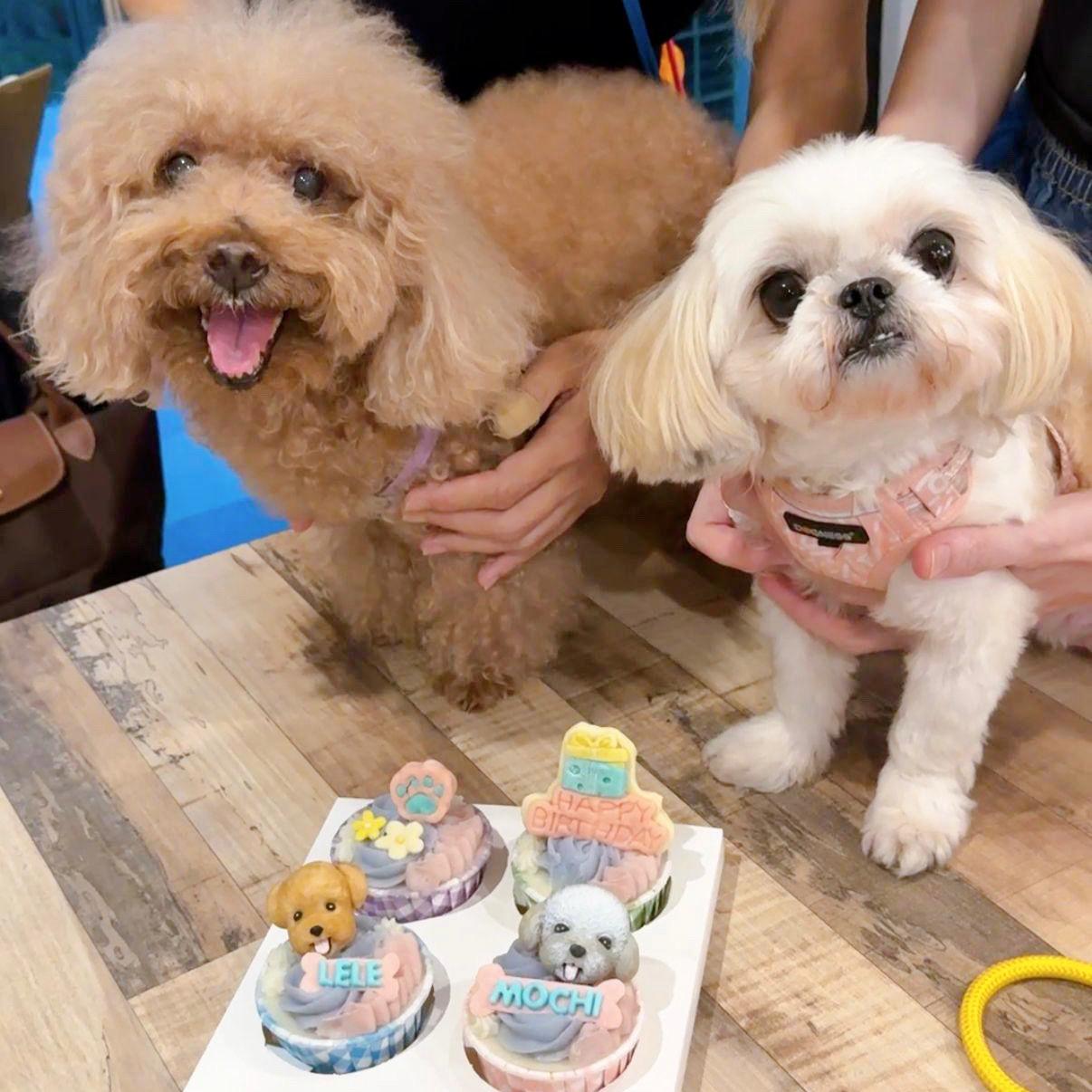 3D Dog/Cat Designed Pupcakes - Pets Delight Bakery Pte Ltd