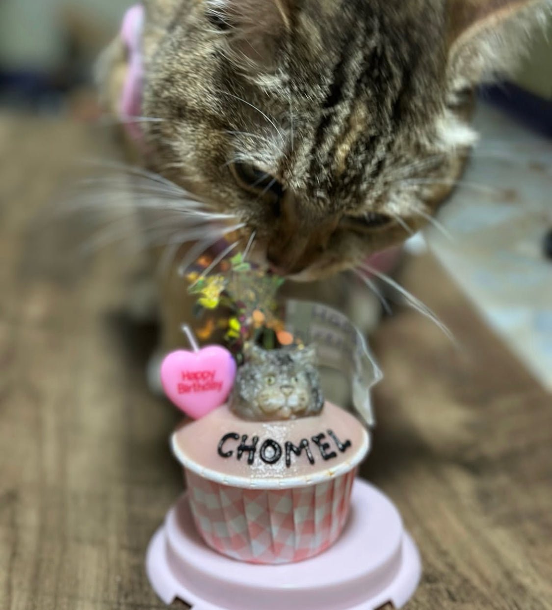 3D Dog/Cat Individual Pupcake - Pets Delight Bakery Pte Ltd