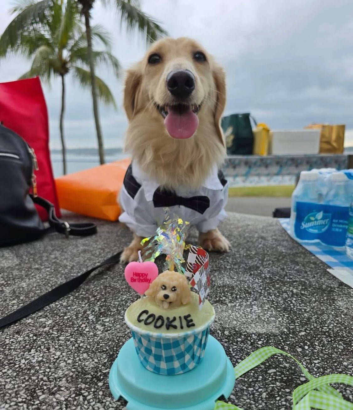 3D Dog/Cat Individual Pupcake - Pets Delight Bakery Pte Ltd