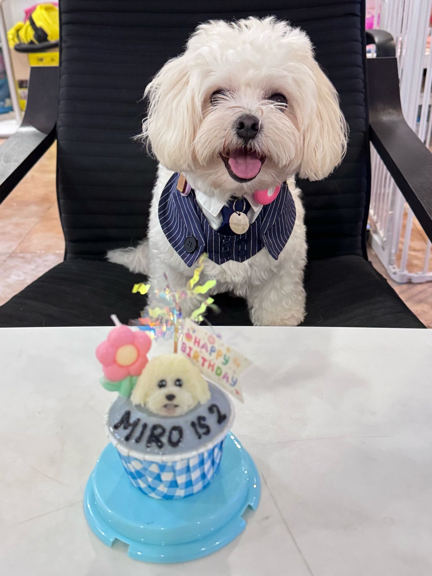 3D Dog/Cat Individual Pupcake