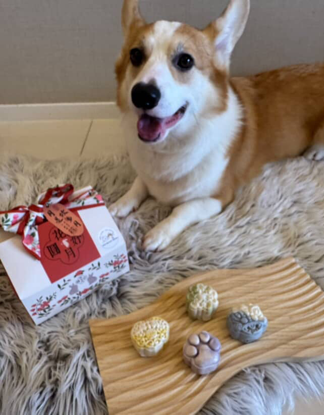 Snow Skin Pet Mooncake For Dogs & Cats