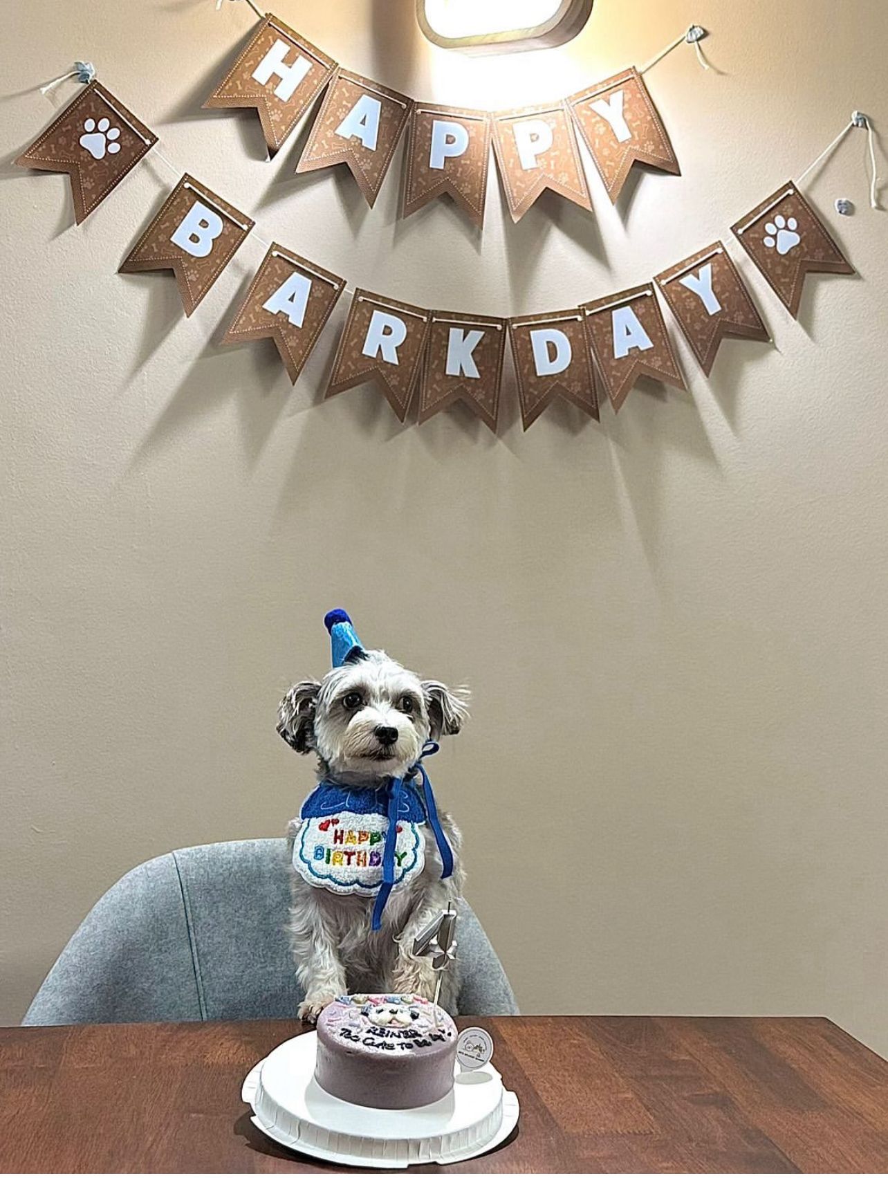 2D Custom Dog/Cat Pawty Cake