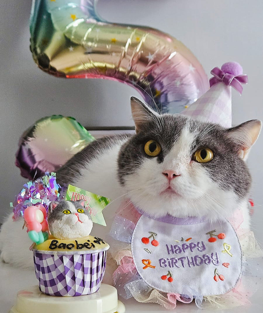 3D Dog/Cat Individual Pupcake