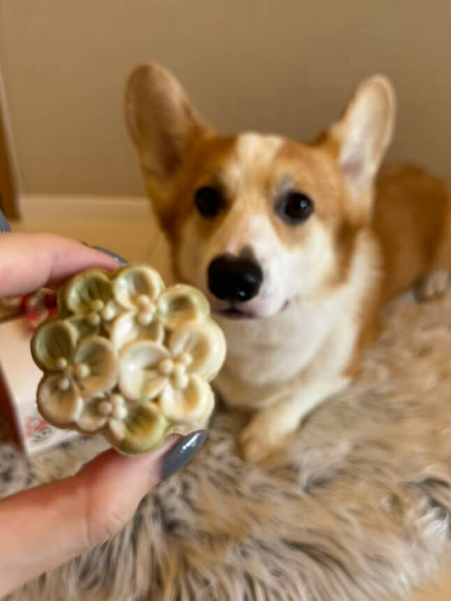Snow Skin Pet Mooncake For Dogs & Cats