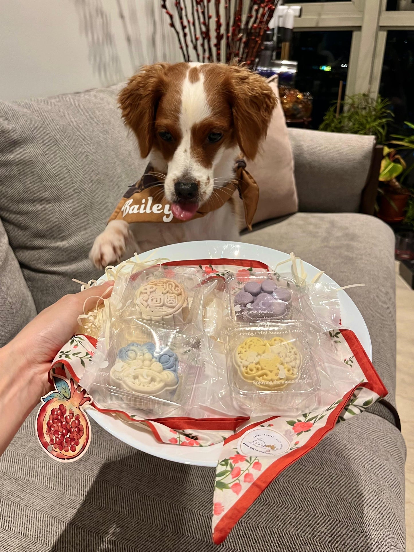 Snow Skin Pet Mooncake For Dogs & Cats
