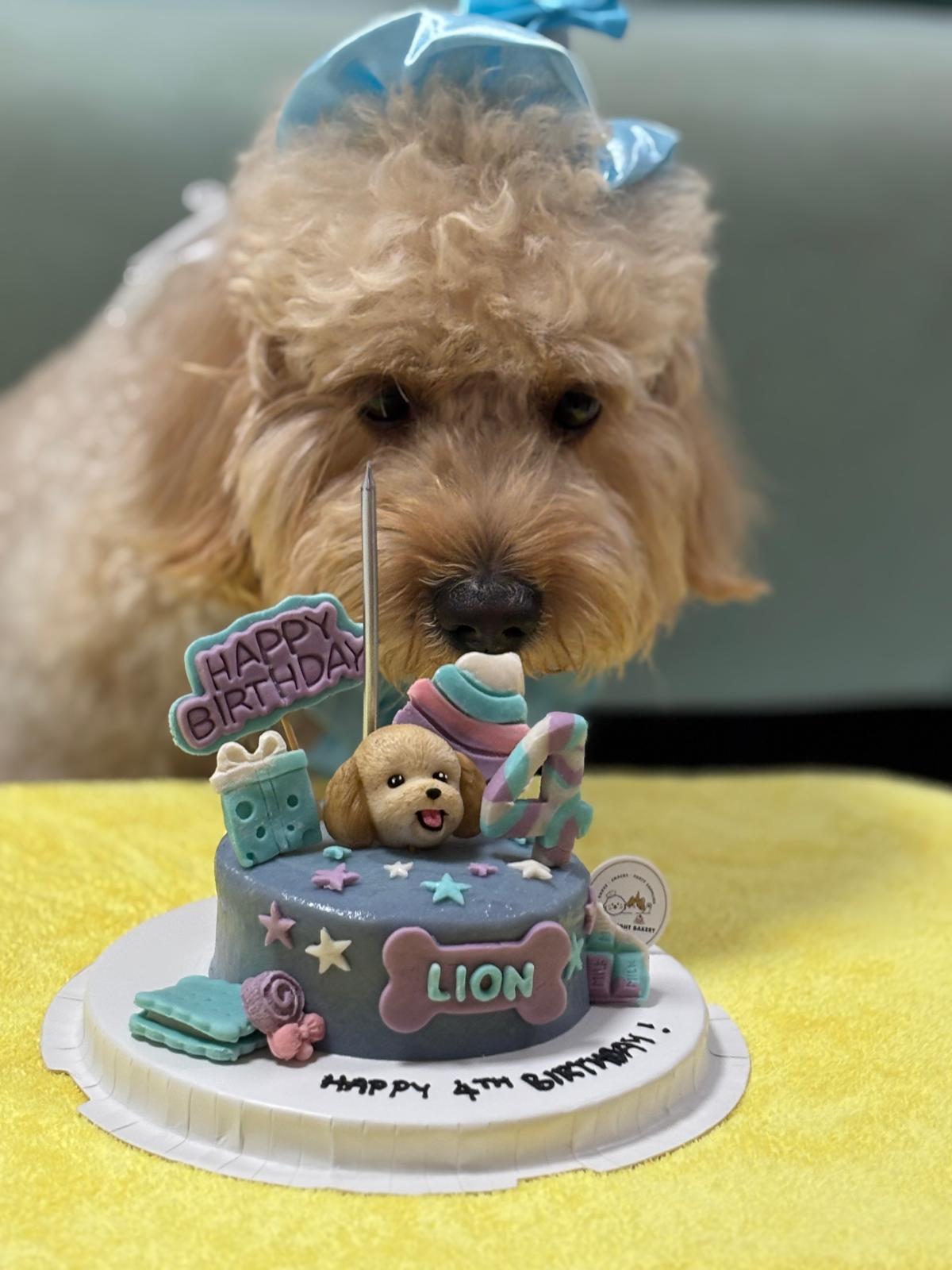 3D Customized Sweet Candyland Dog/Cat Cake
