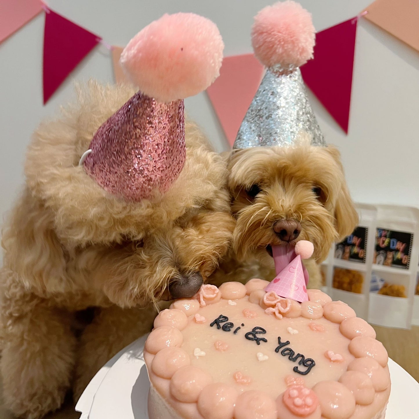 2D Custom Dog/Cat Bubbles Cake