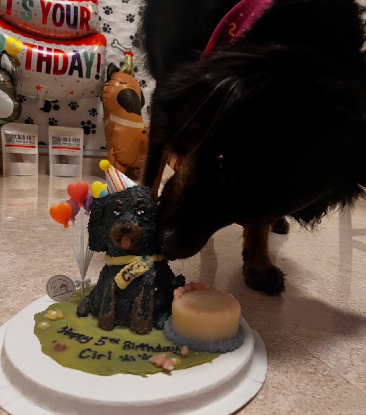 Black Mutt Doggy Full Body Cake (Customizable)