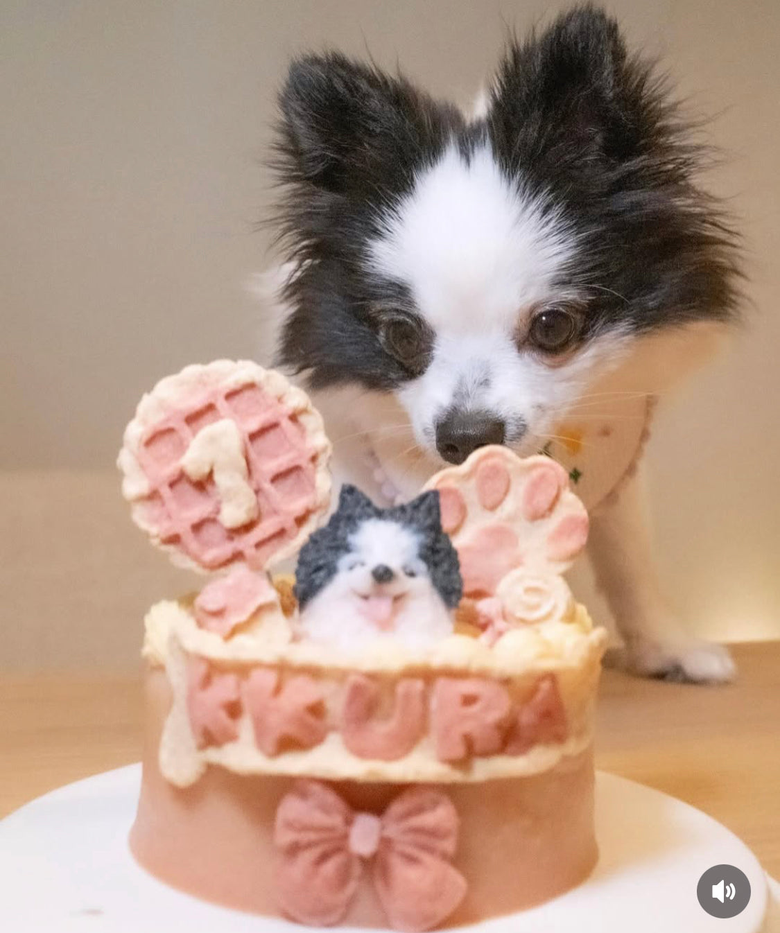 3D Customized Paws-up Cake
