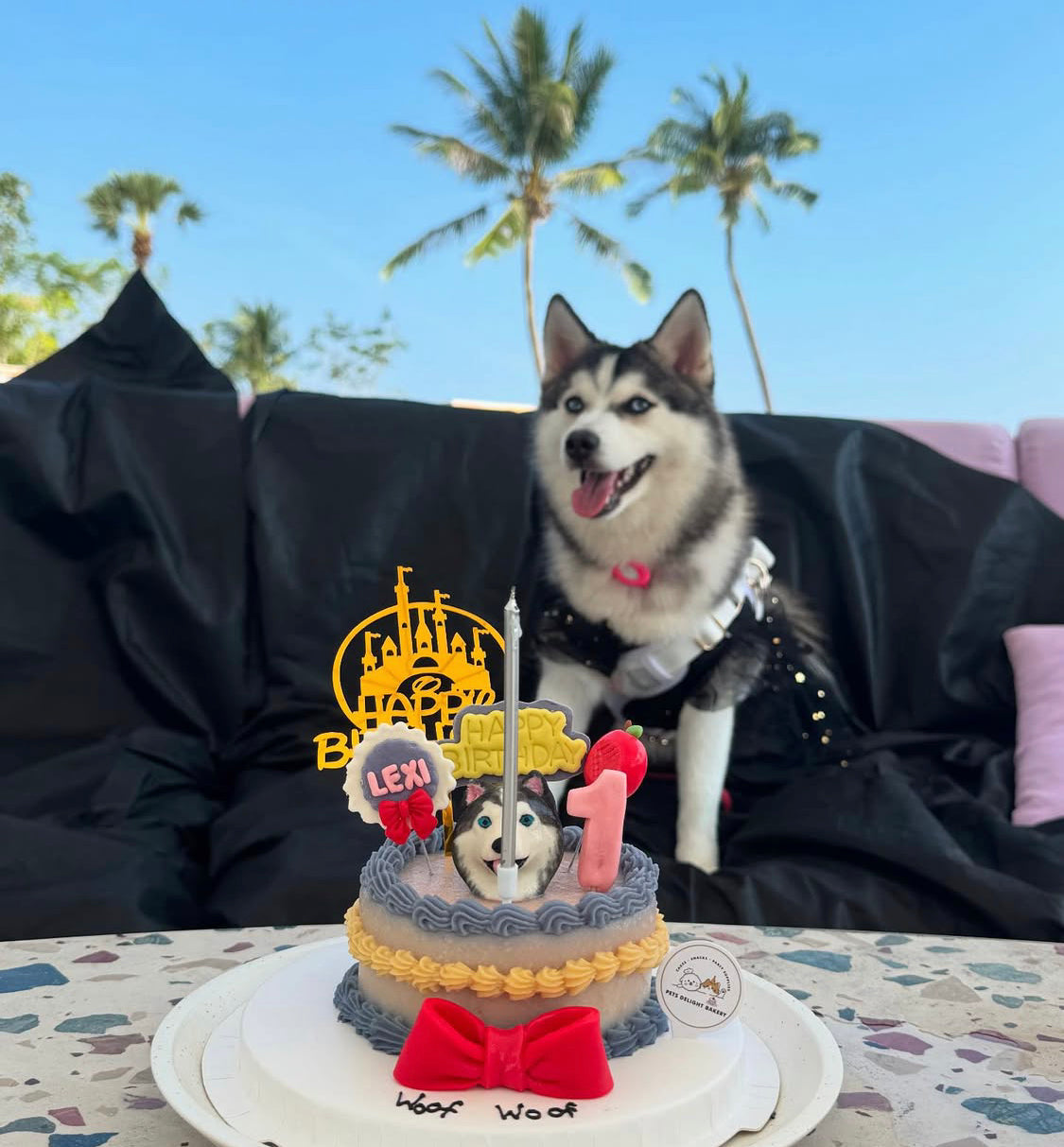 3D Customized Dog/Cat Snow White Princess Cake
