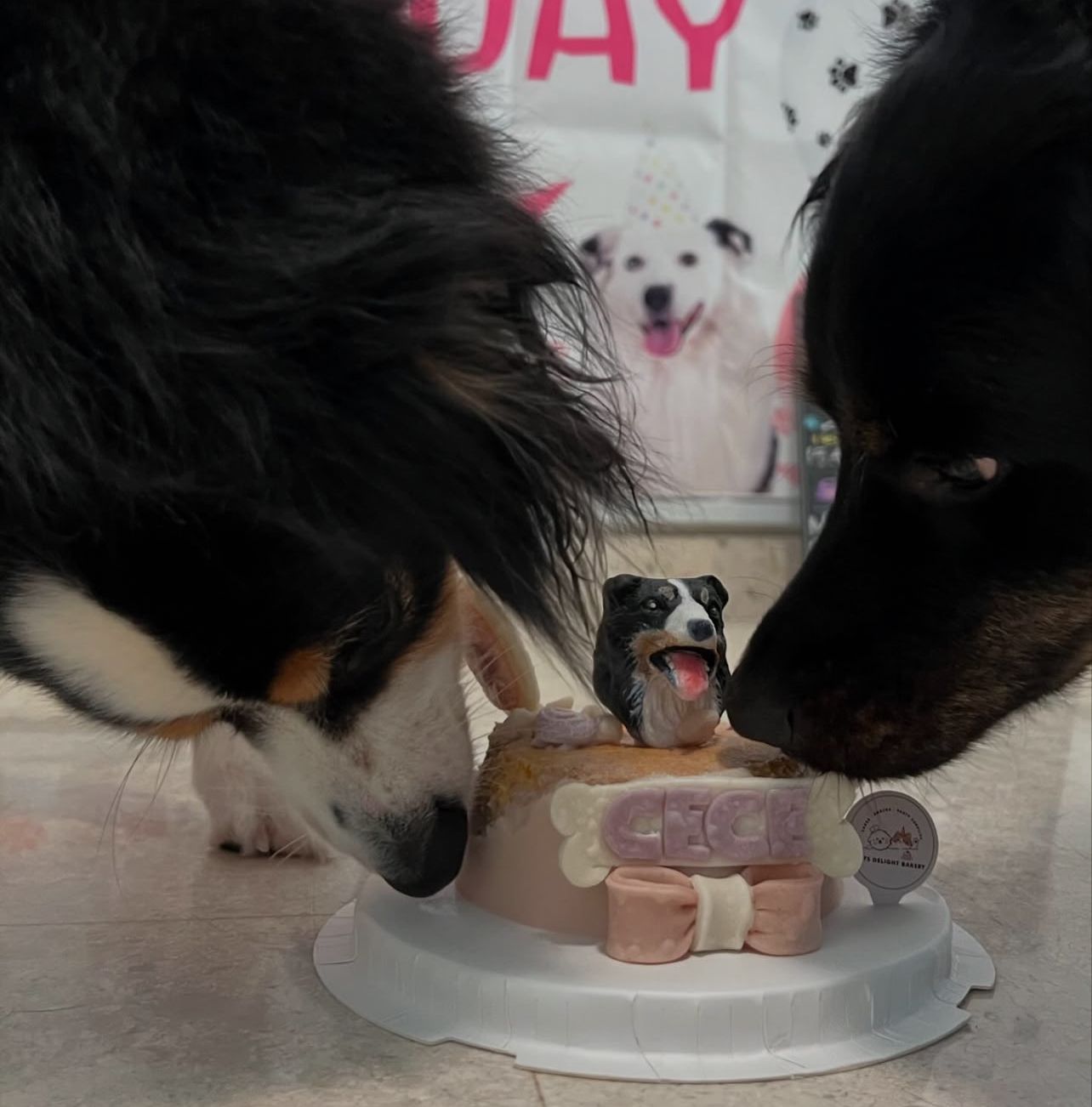 3D Customized Paws-up Cake