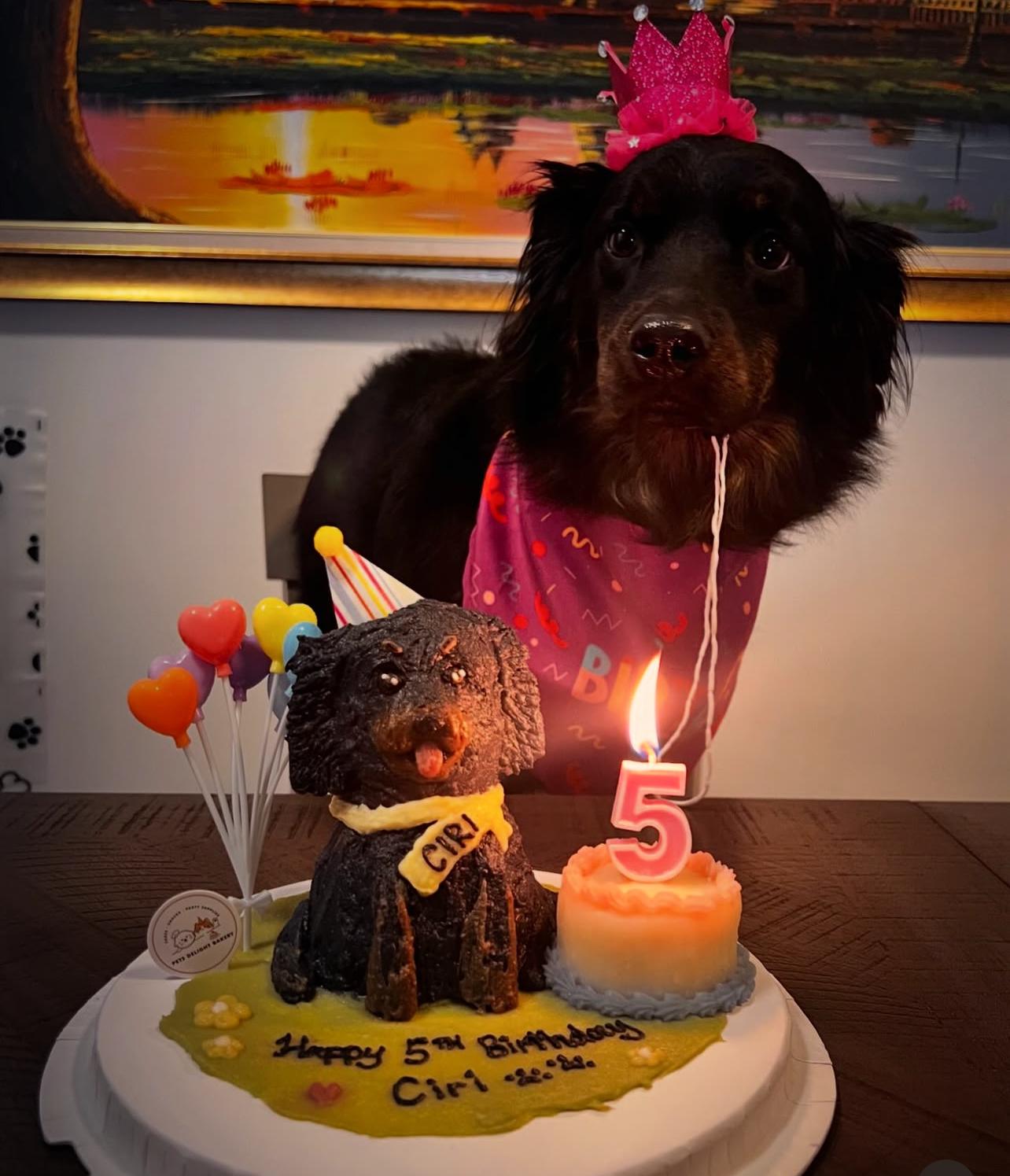 Black Mutt Doggy Full Body Cake (Customizable)