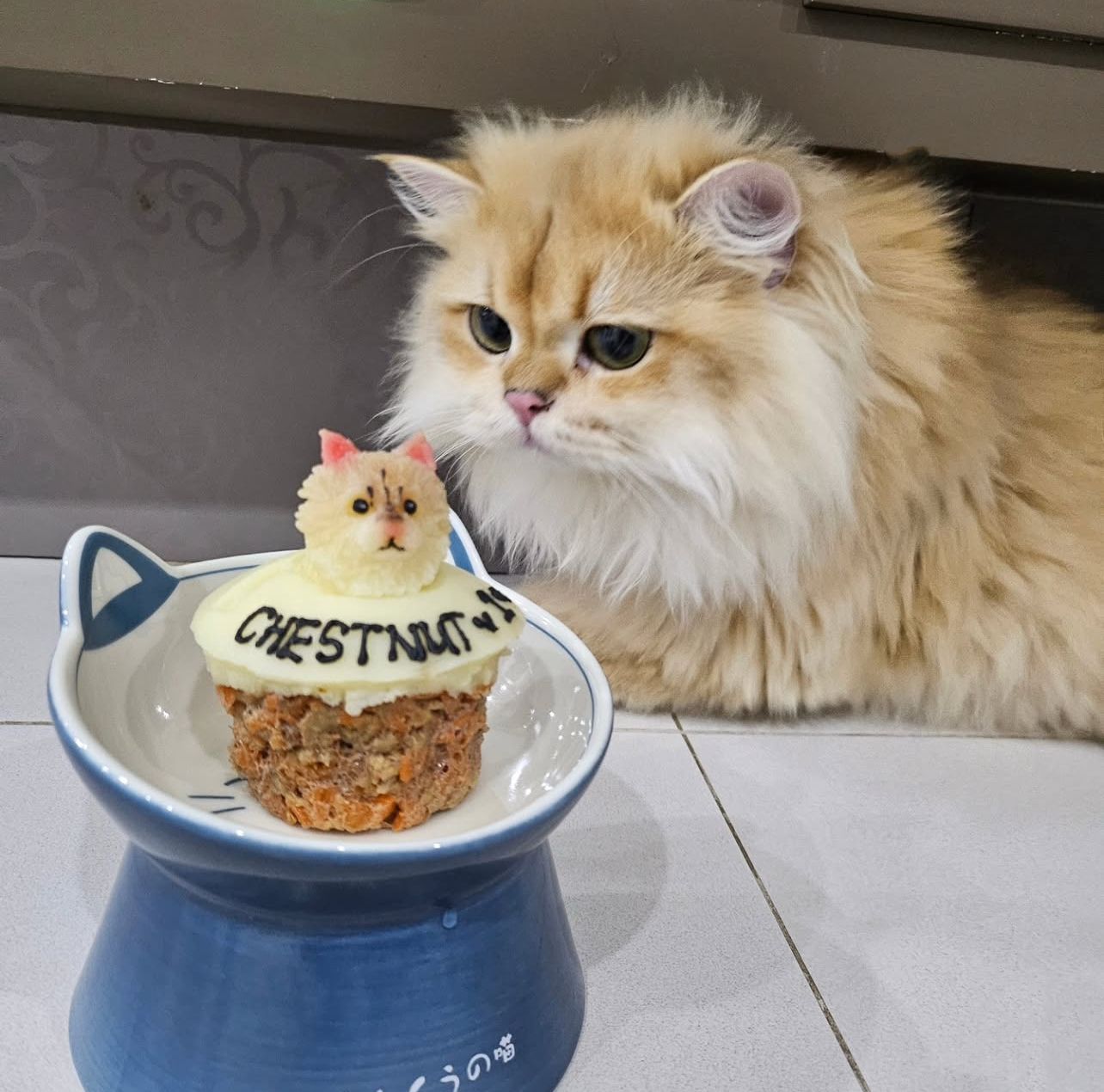 3D Dog/Cat Individual Pupcake