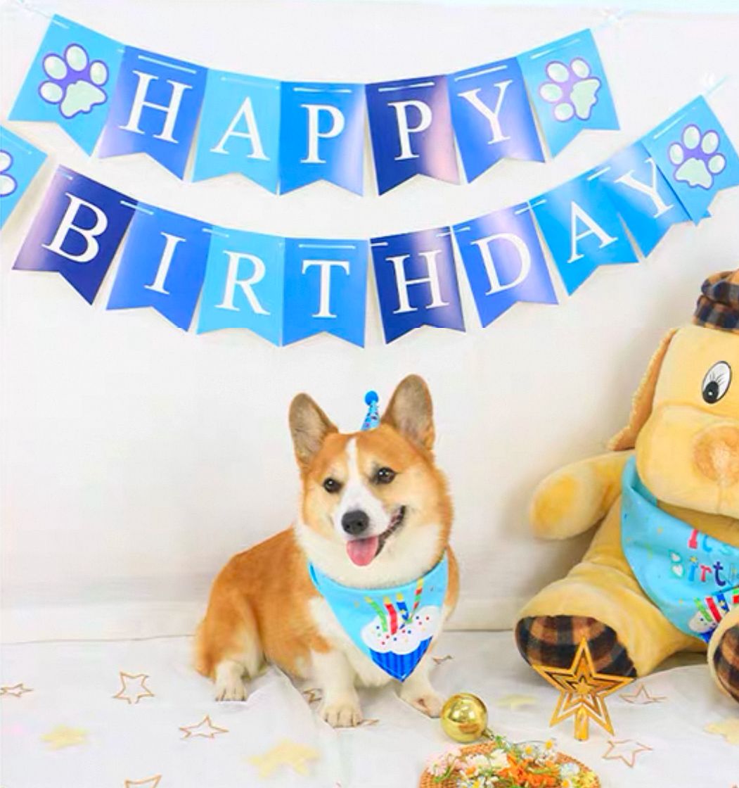 Birthday Party Set 3 - in - 1 - Pets Delight Bakery Pte Ltd