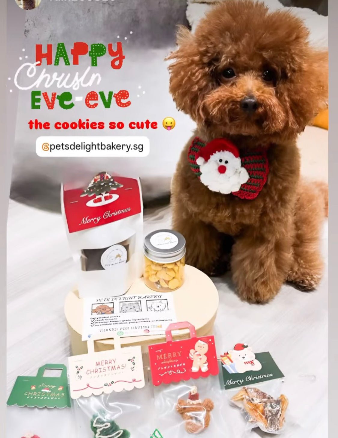 Christmas Dehydrated Pet Treats Gift Box (For Dog n Cat) - Pets Delight Bakery Pte Ltd