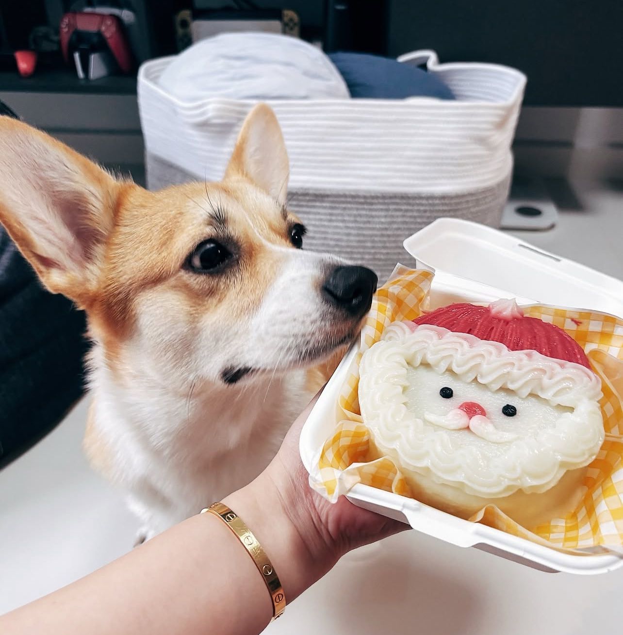 Christmas Season Santa Bento Cake (For Dogs & Cats) - Pets Delight Bakery Pte Ltd