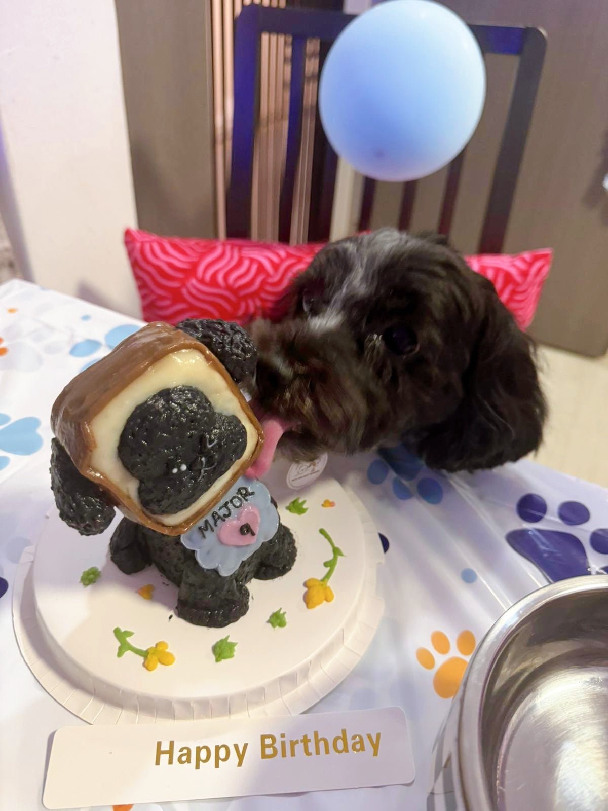 Full Body Bread Dog Cake (Customizable) - Pets Delight Bakery Pte Ltd