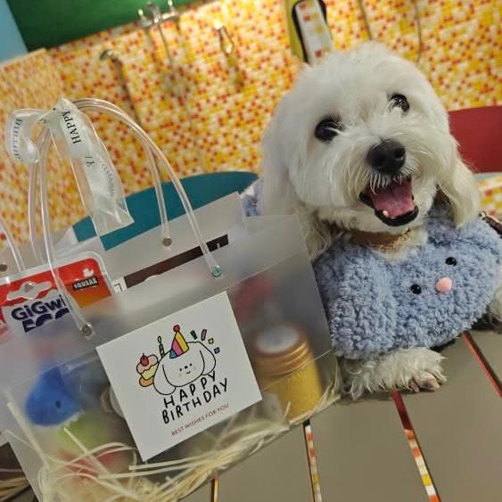 Goodie Bag for Besties (Customizable) - Pets Delight Bakery Pte Ltd