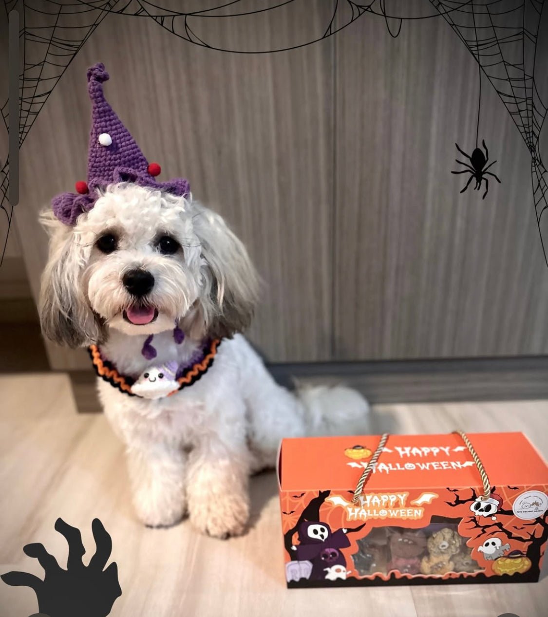 Halloween Dehydrated Pet Treats Gift Box (For Dog n Cat) - Pets Delight Bakery Pte Ltd