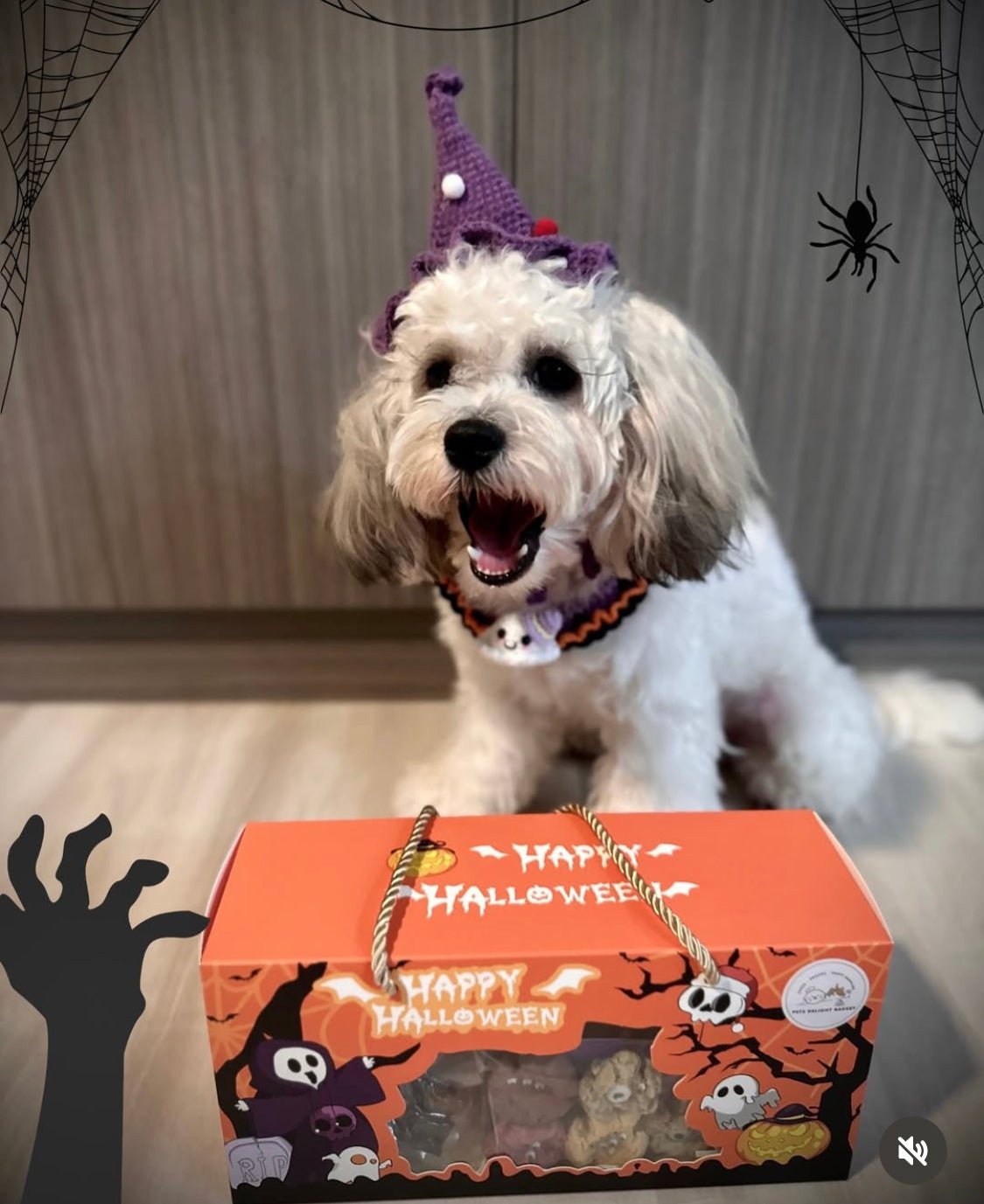 Halloween Dehydrated Pet Treats Gift Box (For Dog n Cat) - Pets Delight Bakery Pte Ltd