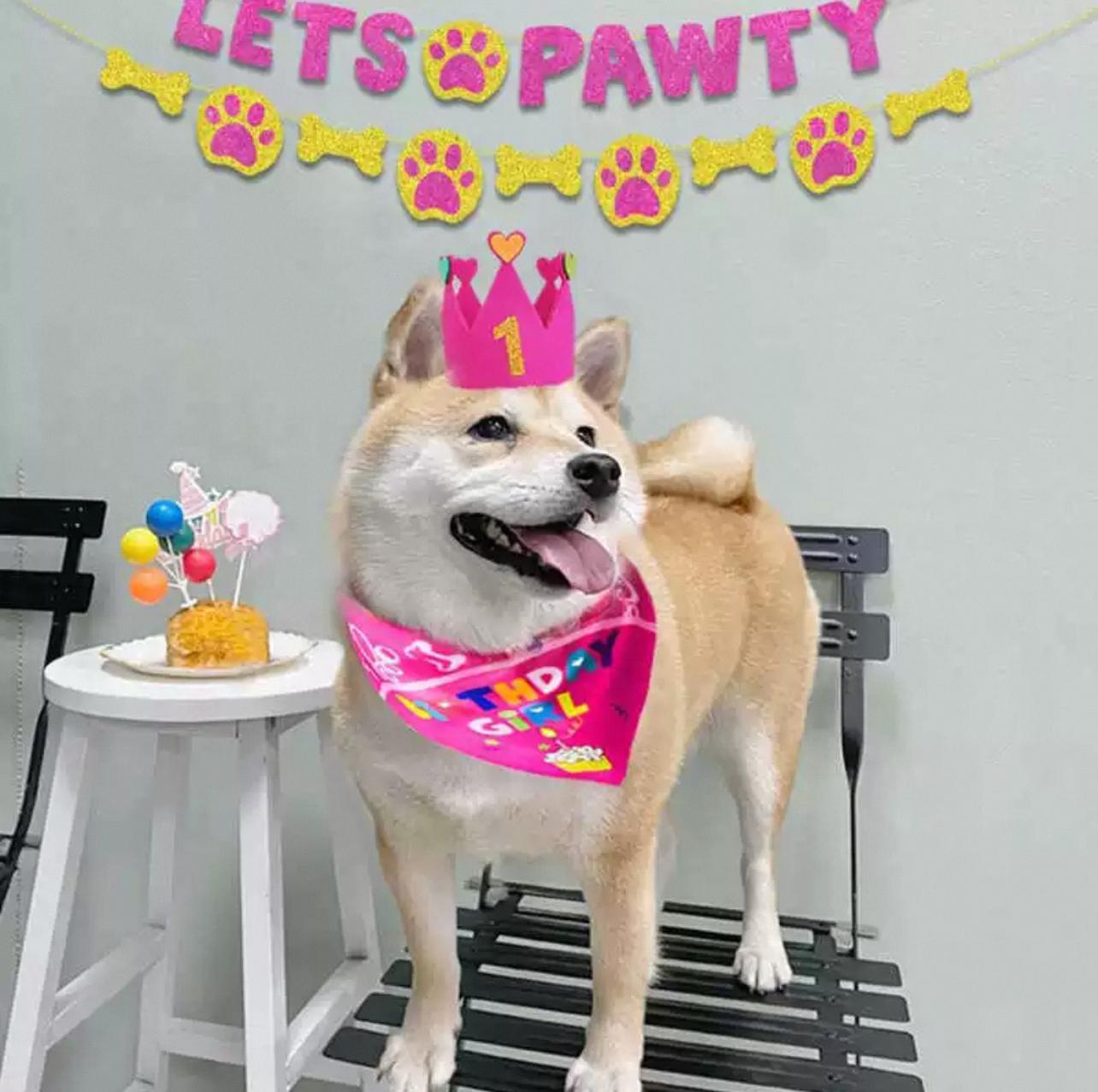 Let's Pawty Birthday Banner Set - Pets Delight Bakery Pte Ltd