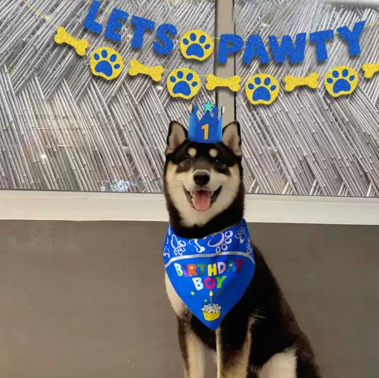 Let's Pawty Birthday Banner Set - Pets Delight Bakery Pte Ltd