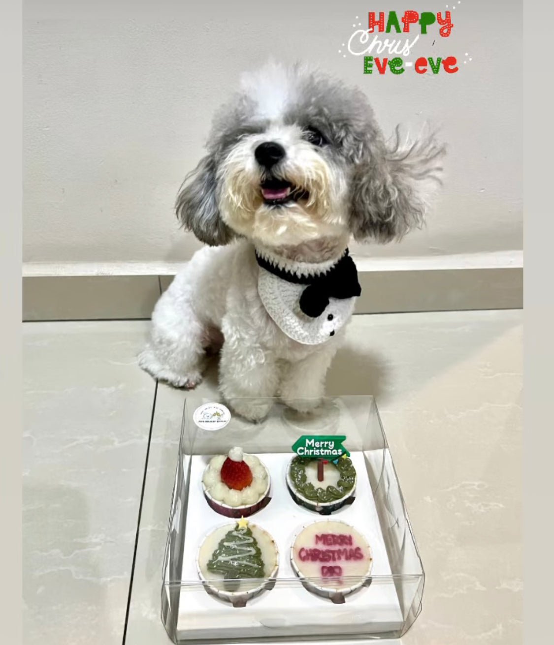 Merry Christmas Dog/Cat Pupcakes - Pets Delight Bakery Pte Ltd