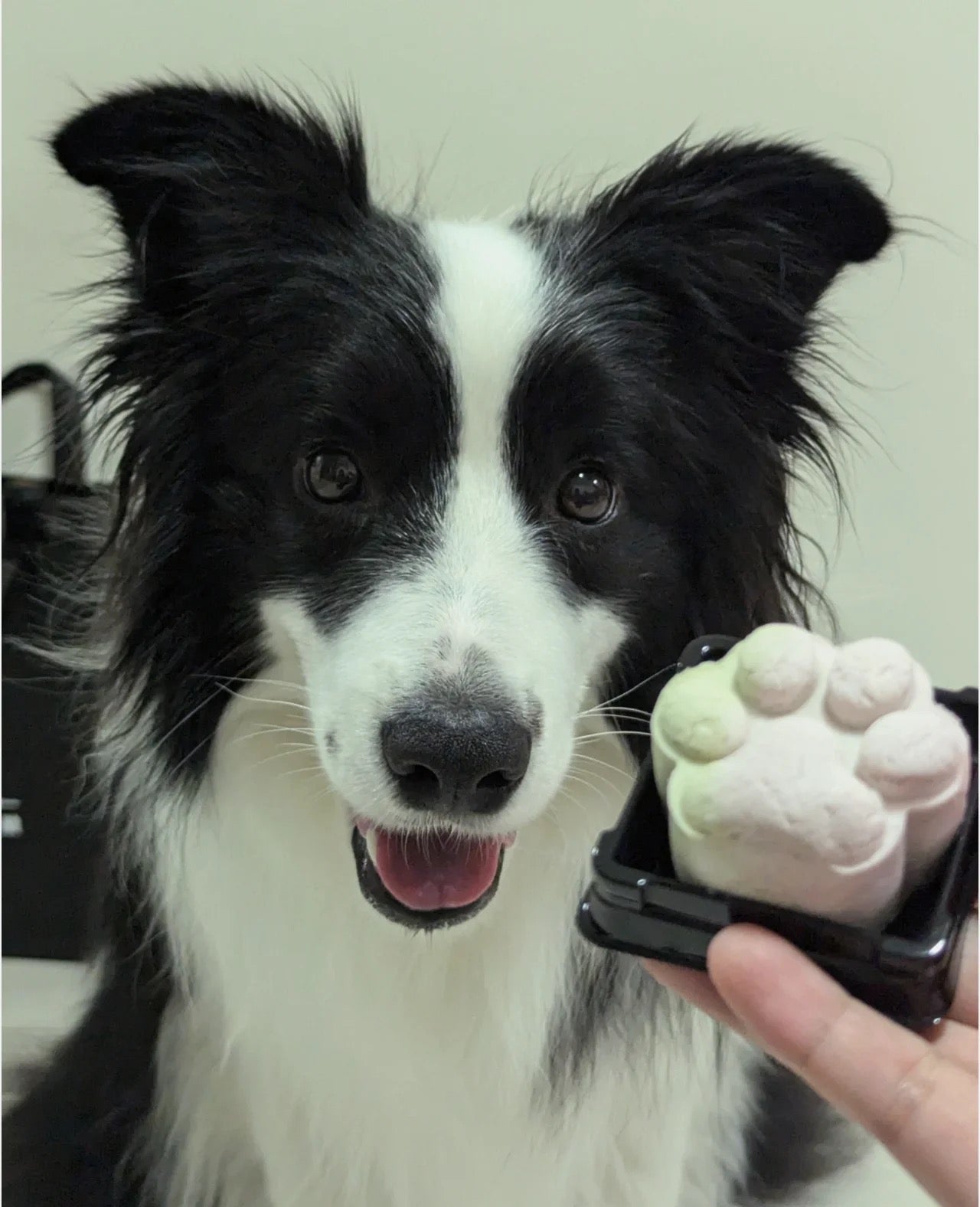Pets Mooncake - Pets Delight Bakery Pte Ltd