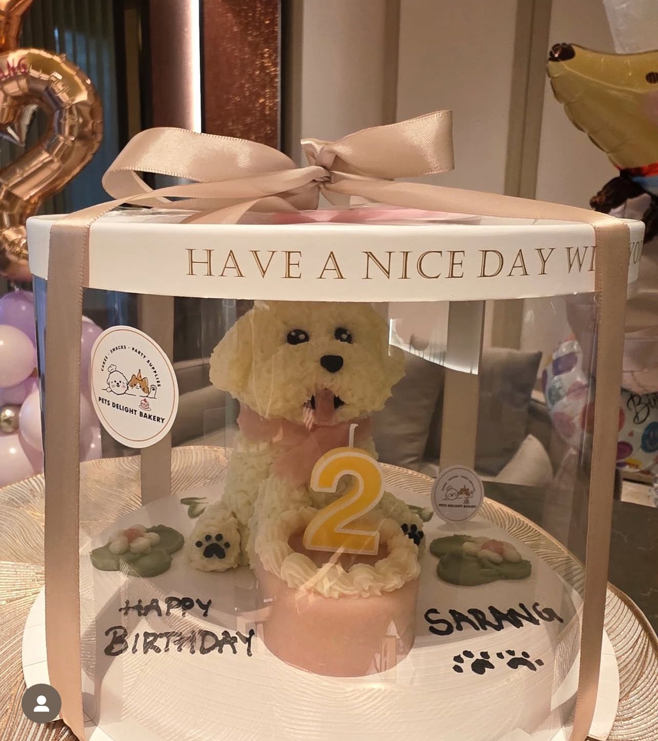 White Bichon/Poodle Full Body Cake (Customizable) - Pets Delight Bakery Pte Ltd