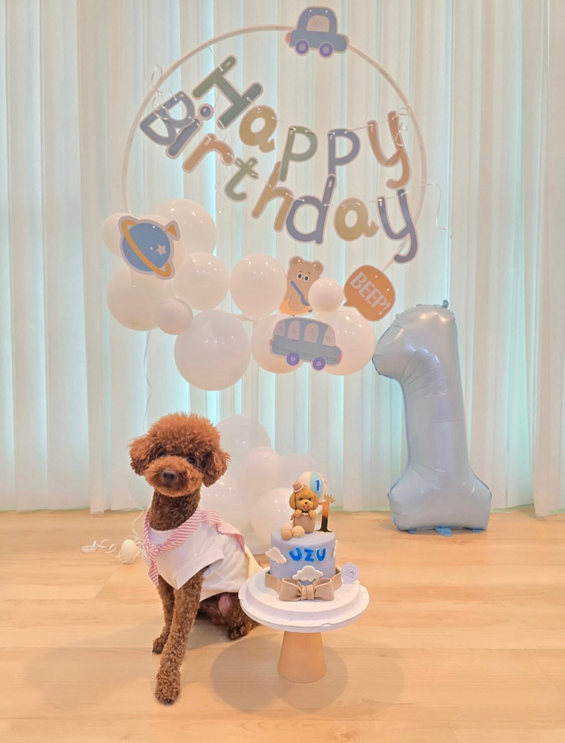 3D Customized Dog/Cat Hot Air Balloon Tall Cake
