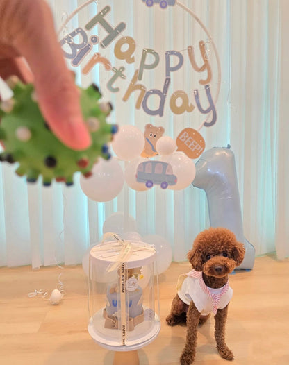 3D Customized Dog/Cat Hot Air Balloon Tall Cake