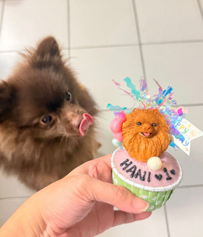 3D Dog/Cat Individual Pupcake