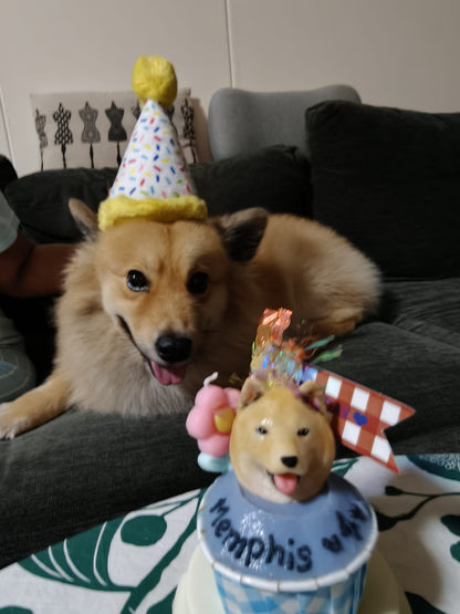 3D Dog/Cat Individual Pupcake
