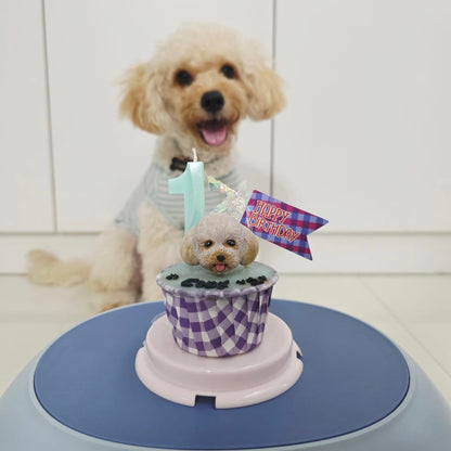 3D Dog/Cat Individual Pupcake