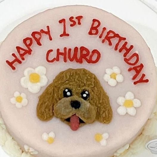 2D Custom Dog/Cat Daisy Cake (Same-day) - Pets Delight Bakery Pte Ltd