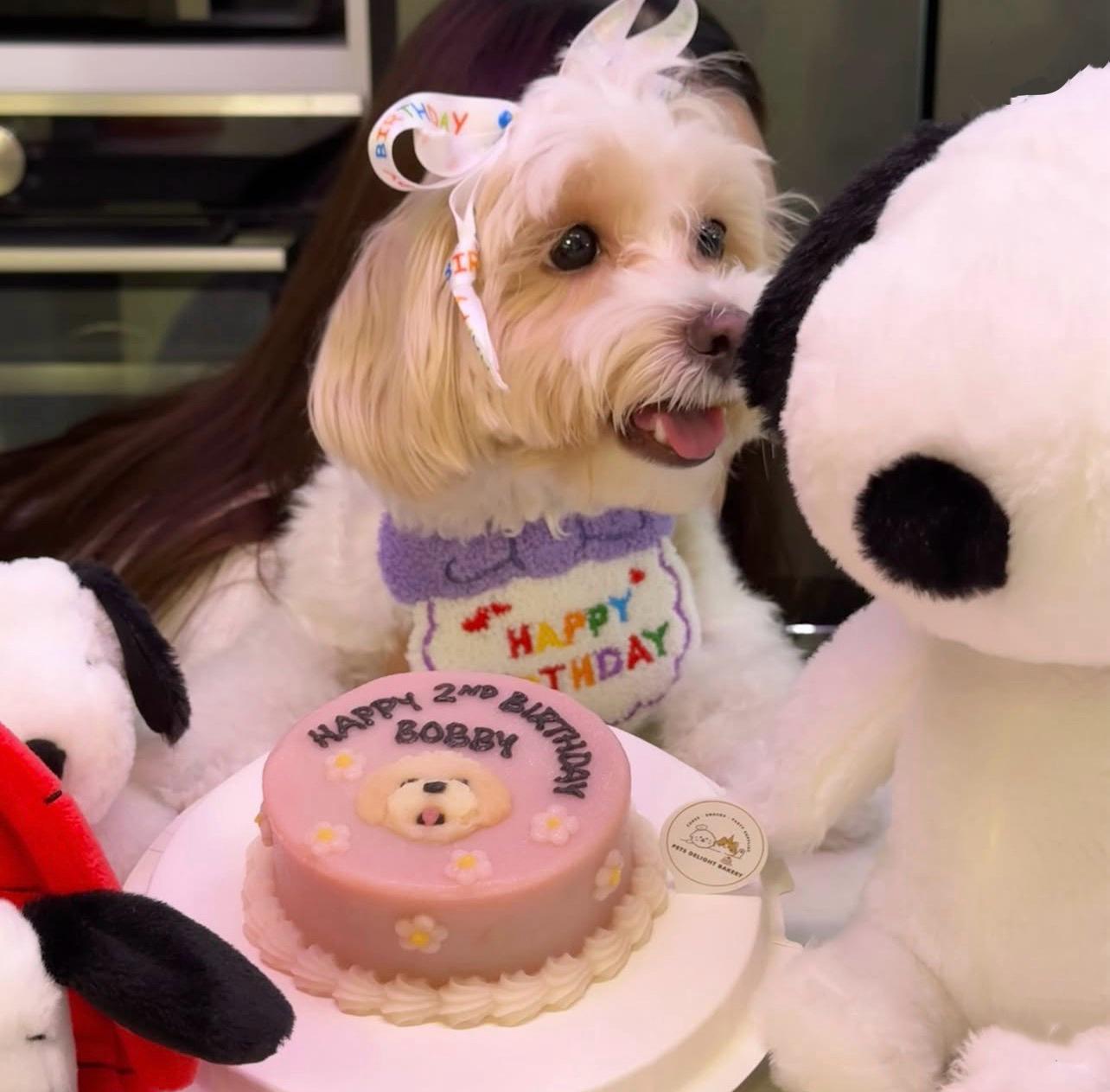 2D Custom Dog/Cat Daisy Cake (Same - day) - Pets Delight Bakery Pte Ltd