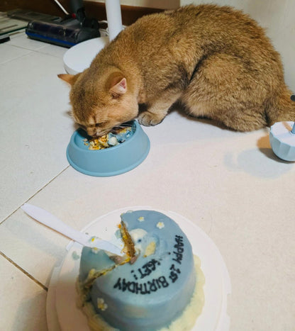 2D Custom Dog/Cat Daisy Cake (Same - day) - Pets Delight Bakery Pte Ltd