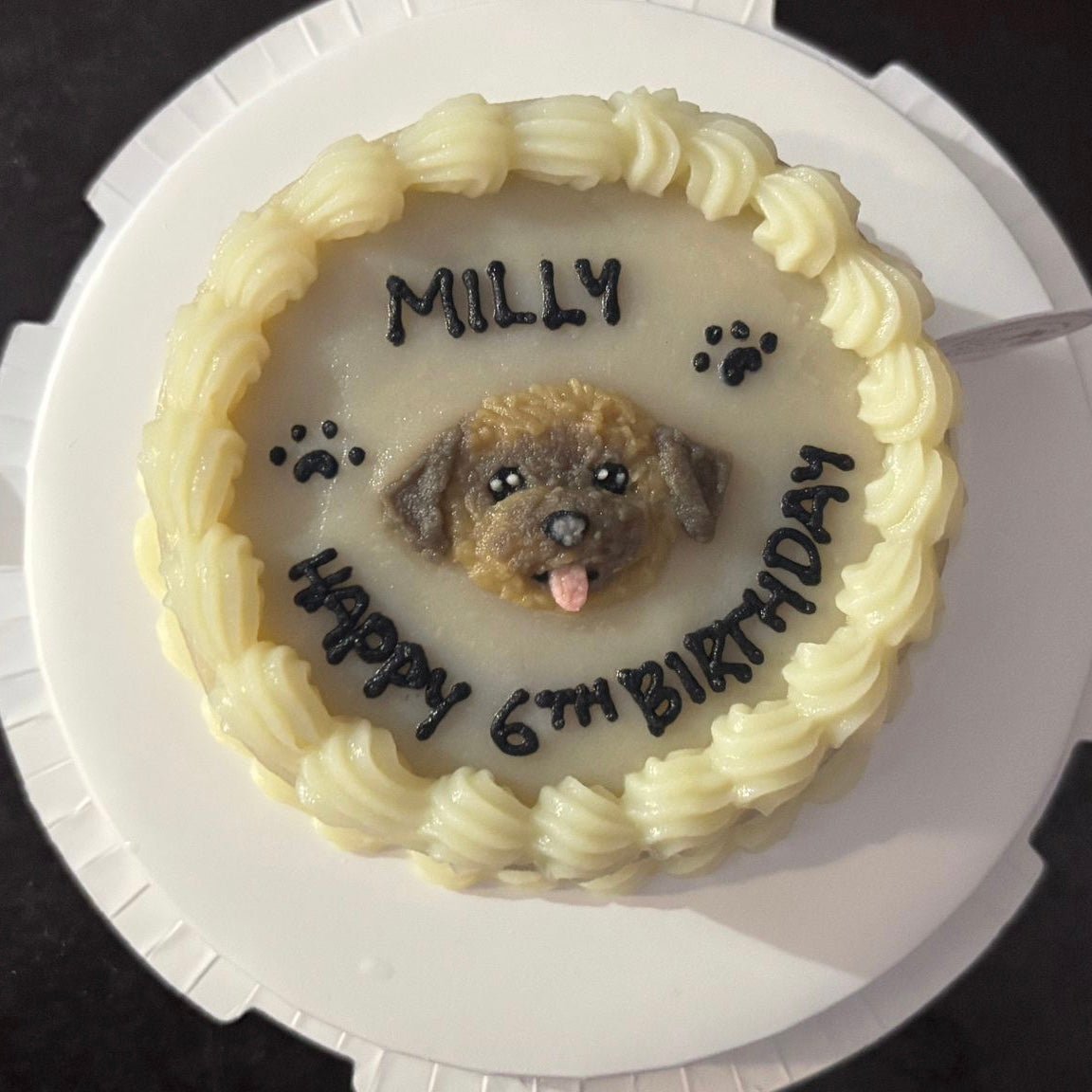 2D Custom Dog/Cat Simple Cake (Same - day) - Pets Delight Bakery Pte Ltd