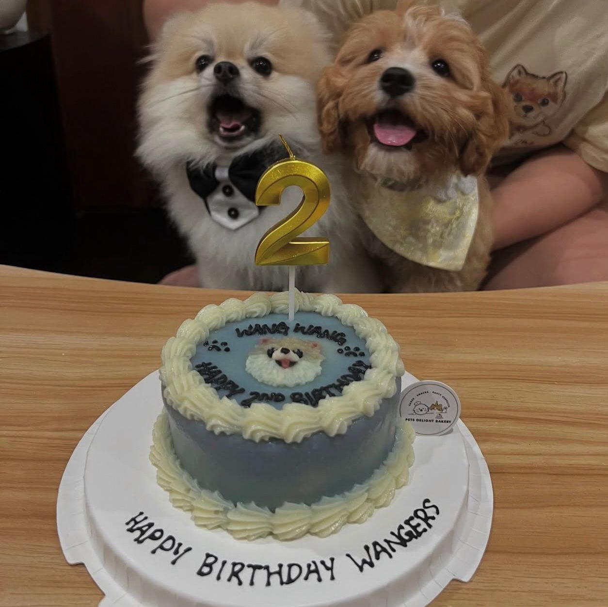 2D Custom Dog/Cat Simple Cake (Same - day) - Pets Delight Bakery Pte Ltd